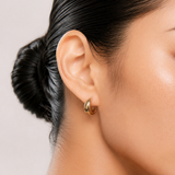 Rounded Bold Hoops