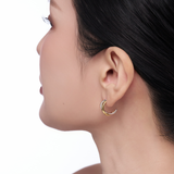 Lucid Dual Pierce-Contrast Edition