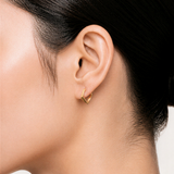 Sharp Frame Hoops