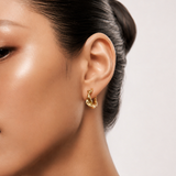 Crinkle Form Hoops